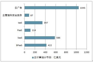 2019-2025年中國云計算市場調查與投資前景評估報告